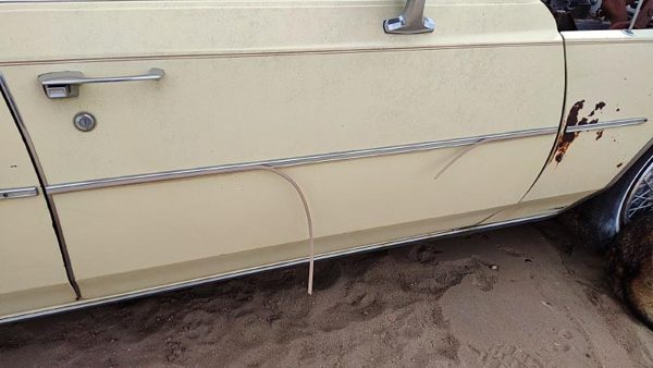 77-84 Cadillac Deville Passenger Right Front Moulding From Door Oem Trim Strip — photo 1
