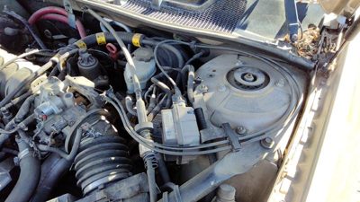 2000-2005 Chevy Impala Cruise Control Servo Assembly Module With Cable Oem