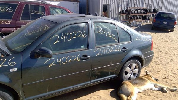 2003 Jetta Except Gli — vehicle photo 11