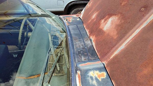 64-66 Ford Thunderbird Coupe Windshield Wiper Cowl Vent Trim Panel Oem Cover — photo 4