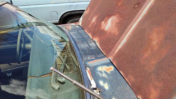 64-66 Ford Thunderbird Coupe Windshield Wiper Cowl Vent Trim Panel Oem Cover — photo 3