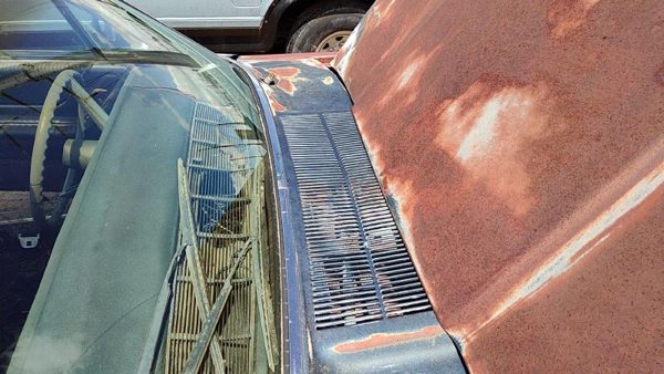 64-66 Ford Thunderbird Coupe Windshield Wiper Cowl Vent Trim Panel Oem Cover — photo 5
