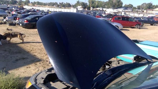 2011 Kia Sorento Hood Gray H9 Hail — photo 4