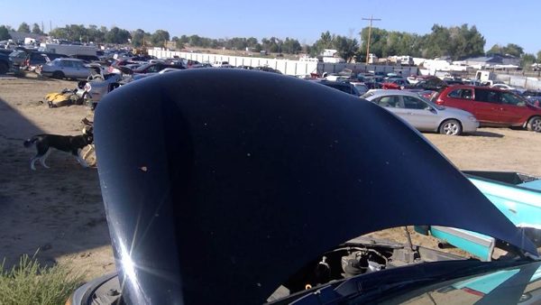2011 Kia Sorento Hood Gray H9 Hail — photo 7