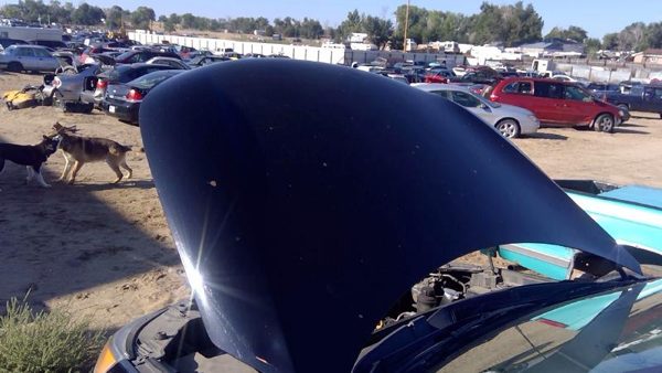 2011 Kia Sorento Hood Gray H9 Hail — photo 6
