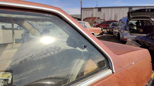 1985 Pontiac Sunbird Driver Left Chrome Drip Rail Oem 2 Door — photo 2