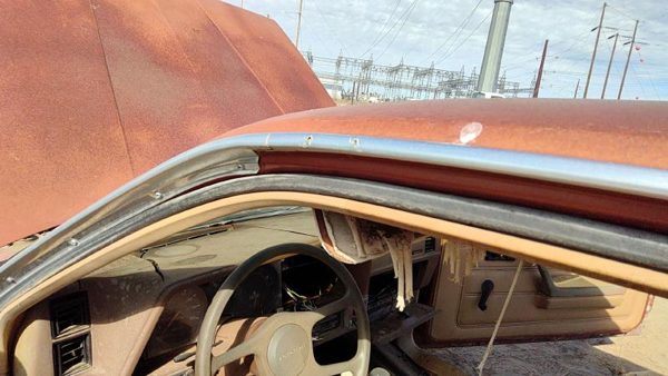 1985 Pontiac Sunbird Driver Left Chrome Drip Rail Oem 2 Door — photo 4