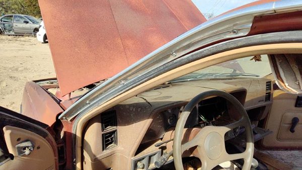 1985 Pontiac Sunbird Driver Left Chrome Drip Rail Oem 2 Door — photo 5