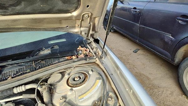 1997-1998 Buick Century Driver Left Hood Hinge Oem Silver 10265736 — photo 1