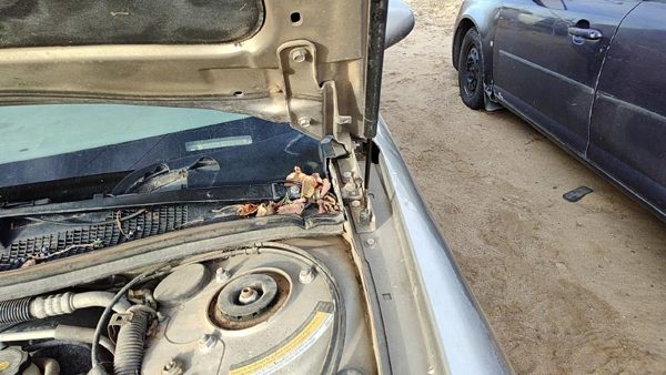 1997-1998 Buick Century Driver Left Hood Hinge Oem Silver 10265736 — photo 3