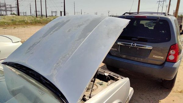 1990 Oldsmobile Delta 88 Hood Gray — photo 4