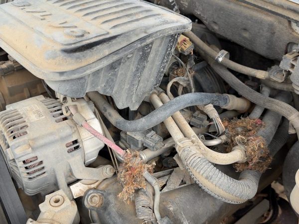 2005-2006 Dodge Dakota Intake Manifold Oem 3.7L 53032795Aa — photo 3