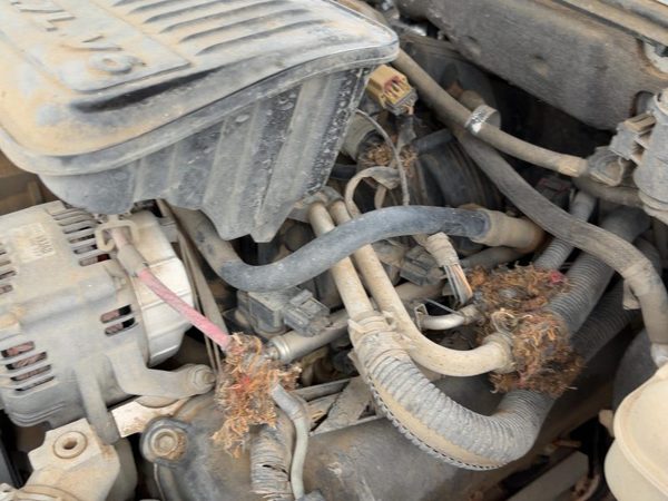 2005-2006 Dodge Dakota Intake Manifold Oem 3.7L 53032795Aa — photo 4