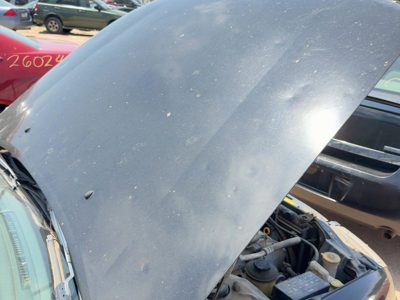 1998 Nissan Maxima Hood Super Black KH3