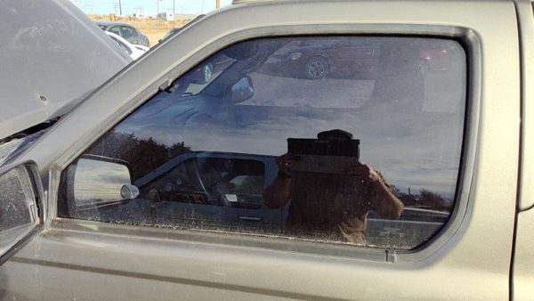 2002-2004 Nissan Xterra Driver Left Front Side Window Door Glass Oem 803018Z400 — photo 3