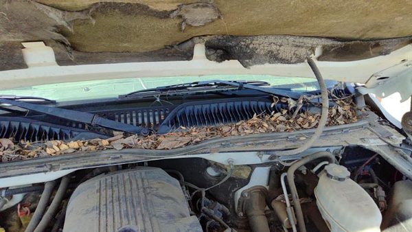 2005 GMC Sierra Cowl Vent Panel/screen 1500 Hd — photo 5