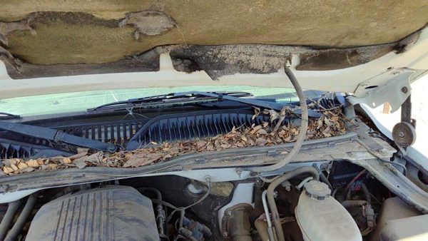 2005 GMC Sierra Cowl Vent Panel/screen 1500 Hd — photo 6