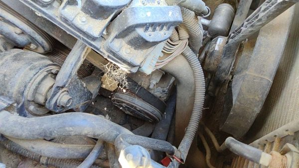 1996-1999 Buick Lesabre Ac Compressor Air Conditioner Pump Assembly Oem 3.8L — photo 3