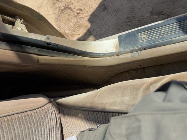 1989-1996 Buick Century Driver Left Lower Sill Step Moulding Trim Panel Oem Tan — photo 6