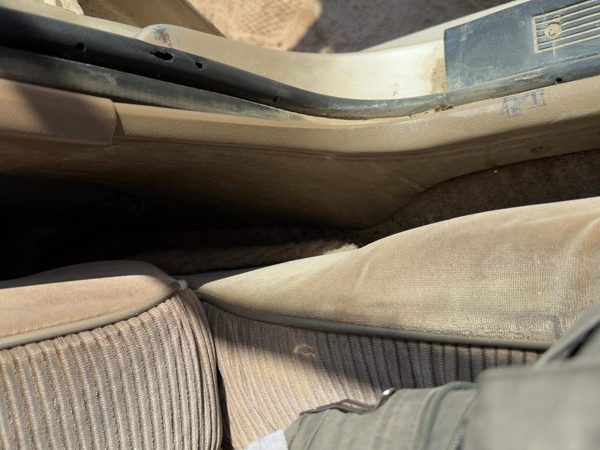 1989-1996 Buick Century Driver Left Lower Sill Step Moulding Trim Panel Oem Tan — photo 9