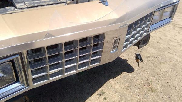 1985 Oldsmobile Delta 88 Grille Olds Gold — photo 9