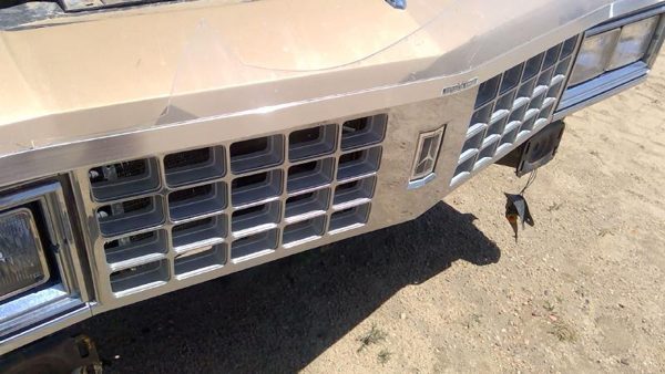 1985 Oldsmobile Delta 88 Grille Olds Gold — photo 8