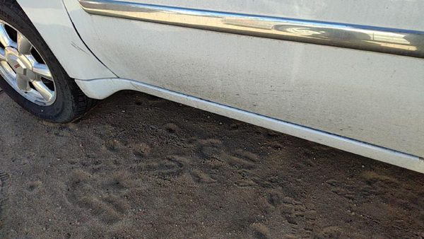 2002-2009 Gmc Envoy Driver Left Lower Rocker Panel Moulding Side Skirt White 50U — photo 5