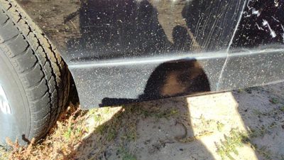 1985-1990 Chevy Camaro Lh Driver Left Rear Moulding On Quarter Panel Oem Black