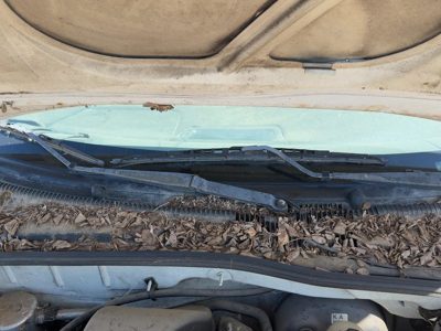 1998-2005 Chevy Cavalier Passenger Right Windshield Wiper Arm Oem Blade Lever
