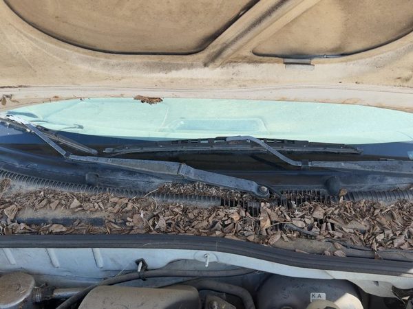 1998-2005 Chevy Cavalier Passenger Right Windshield Wiper Arm Oem Blade Lever — photo 1