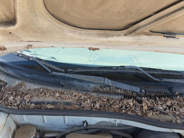 1998-2005 Chevy Cavalier Passenger Right Windshield Wiper Arm Oem Blade Lever — photo 4