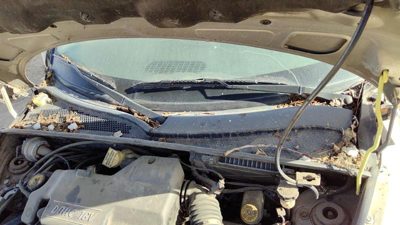2002 Chrysler Pt Cruiser Windshield Wiper Cowl Vent Trim Panel Oem Cover
