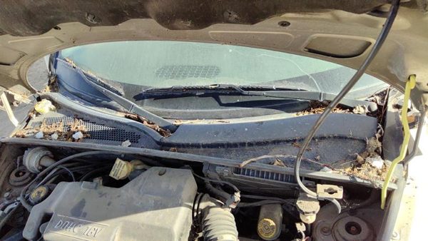 2002 Chrysler Pt Cruiser Windshield Wiper Cowl Vent Trim Panel Oem Cover — photo 1