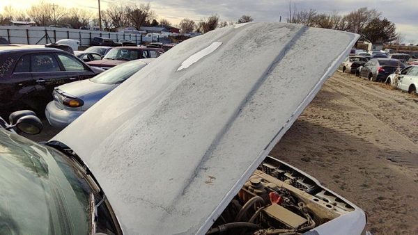 2005 Ford Crown Victoria Hood White — photo 2