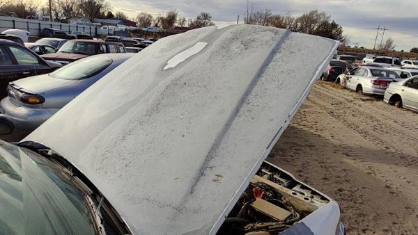2005 Ford Crown Victoria Hood White — photo 3