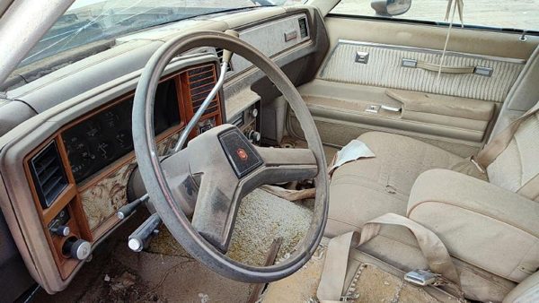 1981 Chevrolet Malibu Steering Wheel — photo 5