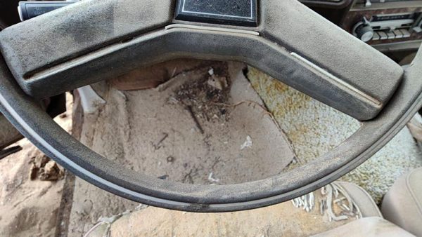 1981 Chevrolet Malibu Steering Wheel — photo 2