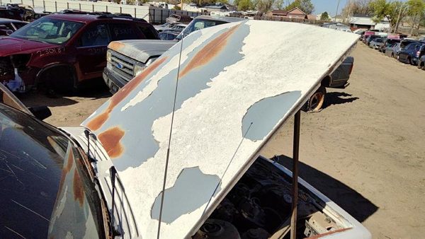1989 Buick Century Hood White — photo 2