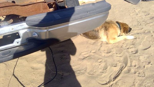 1999 Ford F250 Sd Pickup Rear Bumper Assembly Super Duty Step Chrome With Mount — photo 5