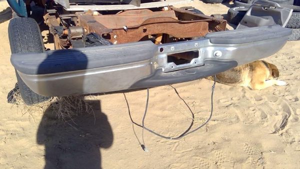 1999 Ford F250 Sd Pickup Rear Bumper Assembly Super Duty Step Chrome With Mount — photo 2