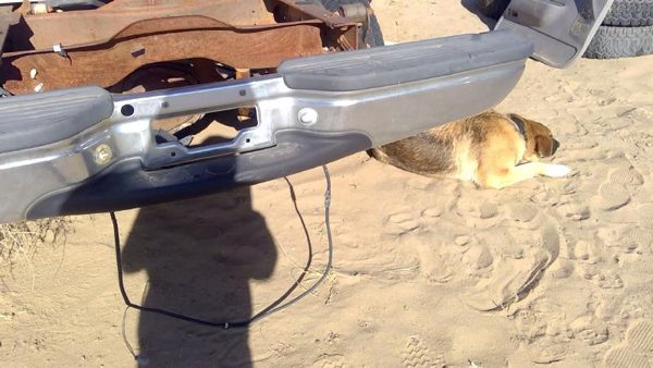 1999 Ford F250 Sd Pickup Rear Bumper Assembly Super Duty Step Chrome With Mount — photo 4