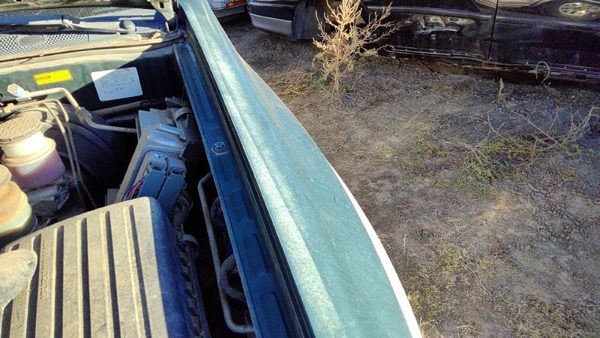 1998-2002 Honda Passport Driver Left Front Fender Oem Hgm Huntsman Green Hail — photo 3