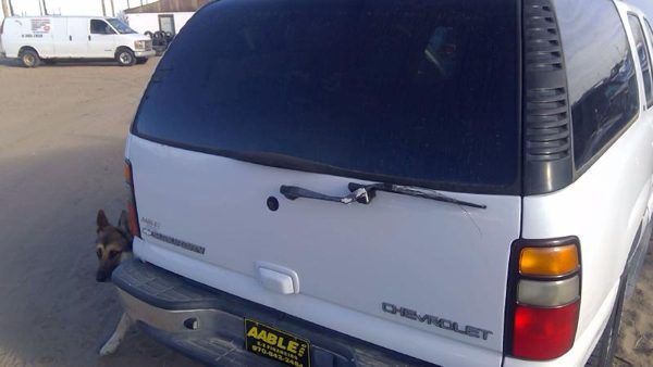 2005 Suburban 1500 Trunk/decklid/hatch/tailgate White 50U — photo 8