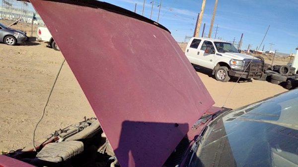 1996 Nissan Hardbody Hood Red — photo 3