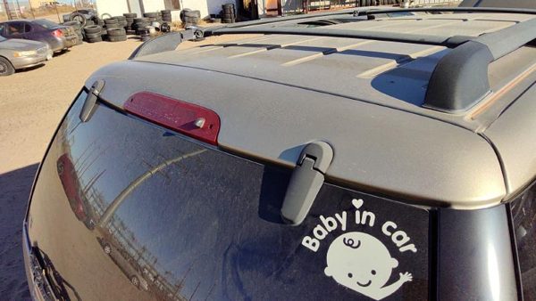 2003 Ford Explorer Trunk/decklid/hatch/tailgate B2 Harvest Gold — photo 2