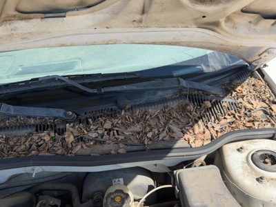 1998-2005 Chevy Cavalier Driver Left Windshield Wiper Arm Oem Blade Lever