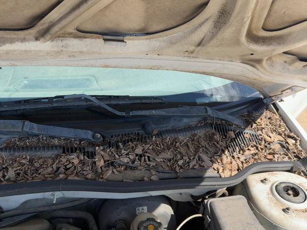 1998-2005 Chevy Cavalier Driver Left Windshield Wiper Arm Oem Blade Lever — photo 3