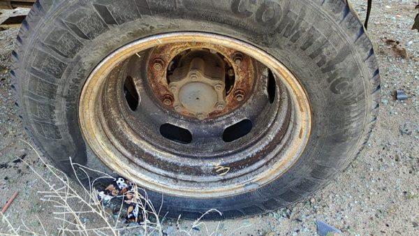 2002-2006 Sprinter Van 3500 15" X 5.50'' -- 6.25'' Pilot Hole Factory Dually Rim — photo 6