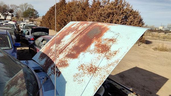 1986 Ford Ranger Hood White — photo 2