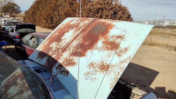 1986 Ford Ranger Hood White — photo 3